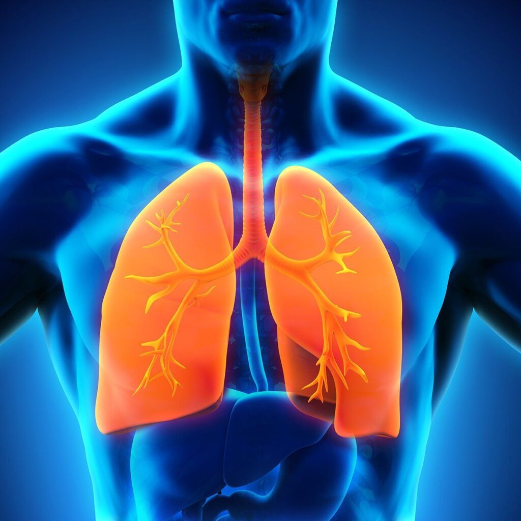 Lung Cancer Awareness Month