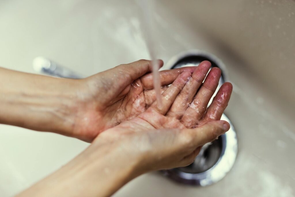 Where Germs Thrive In Our Everyday Lives